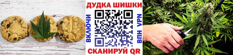 где купить наркоту  Дзержинск  MEGA вход  Печенье с ТГК марихуана 