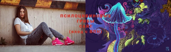 синтетический гашиш Алексин