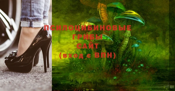 бутират Алзамай
