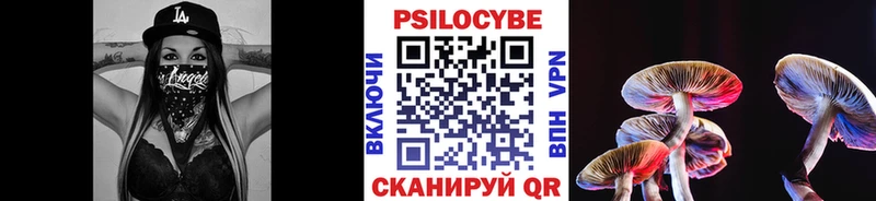 Галлюциногенные грибы мицелий  купить  сайты  Дзержинск 