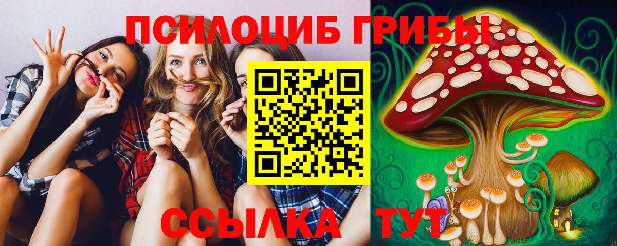 Псилоцибиновые грибы Psilocybine cubensis  Вход с VPN  Дзержинск 