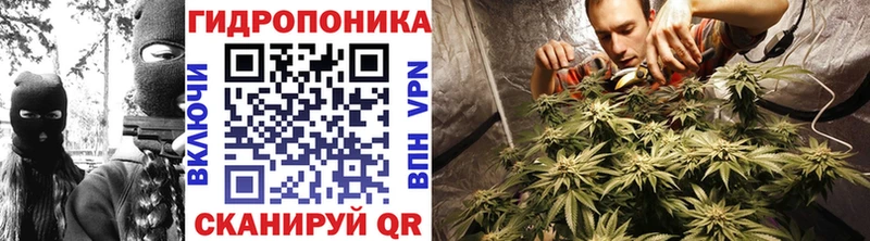 Шишки марихуана марихуана  магазин    Дзержинск 